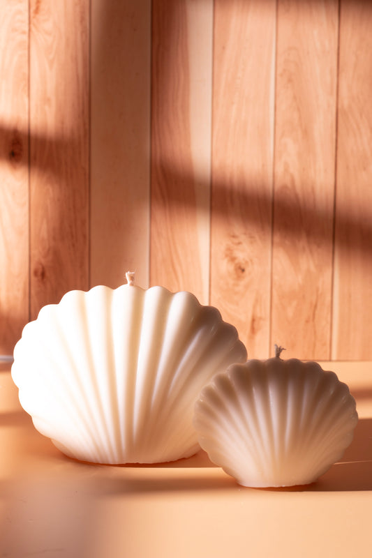Handcrafted shell-shaped sculpted candles by JAL Candles, featuring two soy wax designs in natural light on a wooden surface, made in Cyprus.