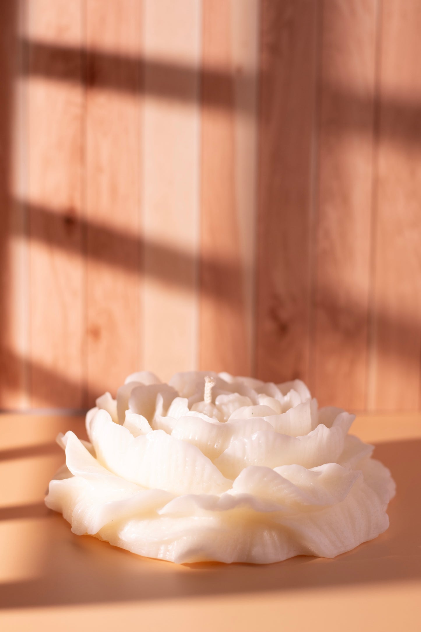 Handcrafted white peony flower candle by JAL Candles, sculpted from soy wax and photographed in warm sunlight on a wooden surface, made in Cyprus.